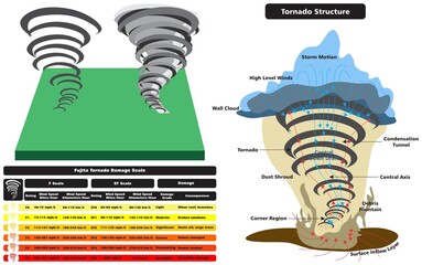 Tornado vector drawing scale and structure infographic diagram parts fujita damage rating spiral wind speed consequences natural disaster illustration bad weather concept major adverse event