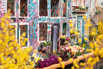 Spring seedling flowers in the pots in the garden