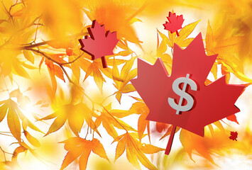 Beautiful Floating Maple Leaf and Canada Dollar sign, 3D rendering, 3D illustration