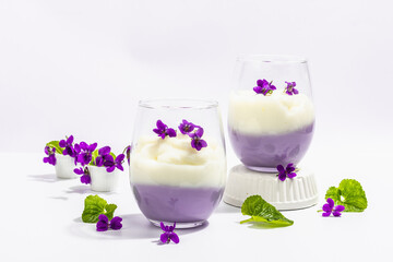 Vegan panna cotta dessert with fresh violet flower. Striped very peri color food, trendy stand
