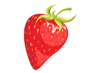Ripe, juicy strawberries.Summer berry with leaves.Vector illustration for the menu.web advertising.posters, logos.