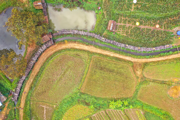 Fototapeta premium Aerial views of Pua and the rice fields in Nan province, Thailand