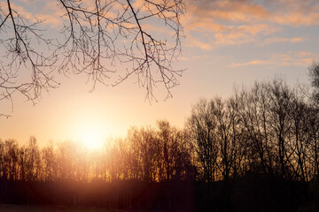 Obraz premium Silhouette of a trees in a park and stunning sunrise cloudy sky with rich, saturated colors. Warm orange and cool blue tone. Nobody. Calm and peaceful atmosphere.