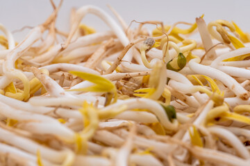Sprouts green mung beans or taugeh closeup on white background. Selective focus