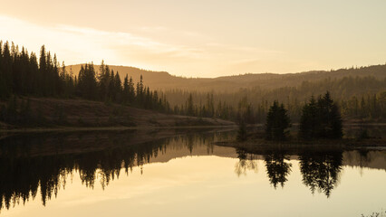 Peaceful evening in the mountain forest