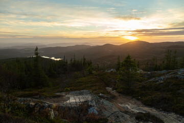 Peaceful evening in the mountain forest