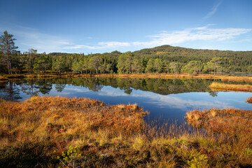 Sunny day by the lake in the forest of Bymarka.