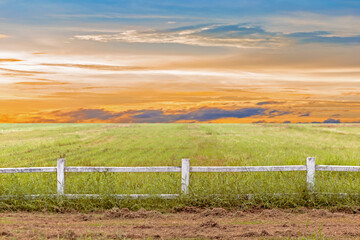 Fototapeta premium Wooden fence and old farm gate in the nature background 