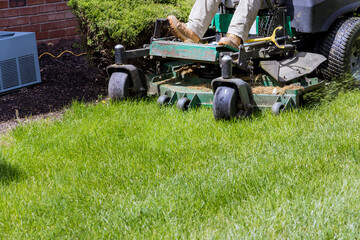 Man mows lawn using gasoline-powered self-propelled lawn mower on cutting grass with lawn mower.