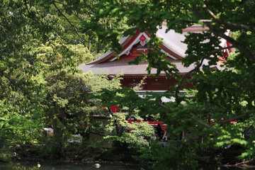 Shrine in the forest of Japan