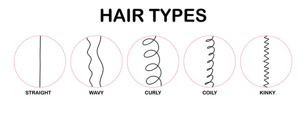 Hair types. Classification hair types - straight, wavy, curly, coily, kinky. Scheme of different types of hair. Curly girl method. Vector infographics illustration on white background.