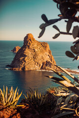 Fototapeta premium sunset over the sea