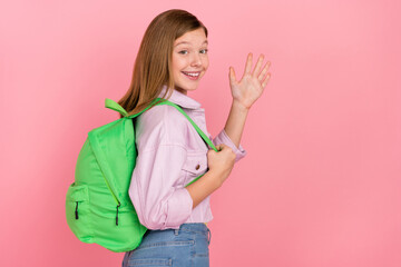 Profile side photo of youth cheerful lady waving arm hi greeting symbol isolated over pink color background © deagreez