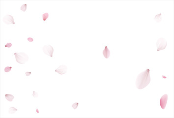 Sakura background, cherry vector background