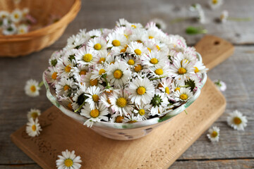 Fototapeta na wymiar Common daisy flowers in a bowl, close up