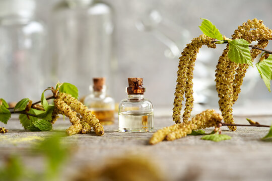 A transparent bottle of essential oil with birch branches