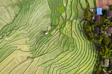 Wat Ban Wen rice fields in Nan province, Thailand