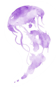 Watercolor blue and violet jellyfish on white background