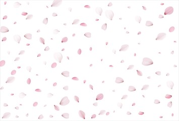Fototapeta na wymiar Sakura petals background. Cherry petals