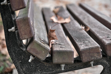 Wooden bench and dried leaves on wood bench. Autumn concept idea.