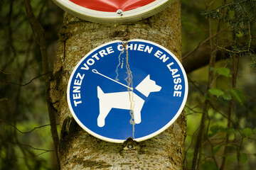 Forest trail sign detail dogs on leash only on a tree trunk in Vosges France