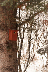 bird house on tree in Lofoten norway