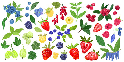 Set of garden berries, blueberries blackberry gooseberry
