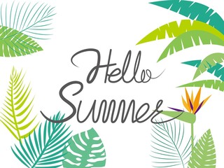 Fototapeta na wymiar Hello summer text decoration with colorful Tropical leaves background. Summer seasonal Vector illustration for banner, background and graphic design.