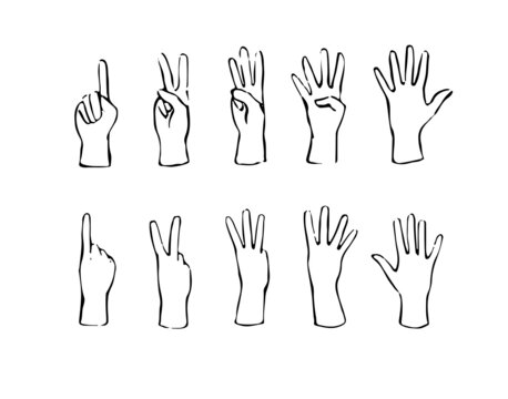 Counting hands (0 to 10) isolated on white background. Lined Vector Icons Set.