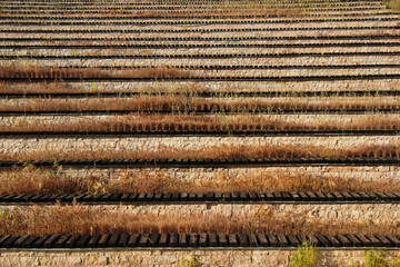 Abandoned wooden benches and bleachers overgrown with dry grass and weeds at an old stadium