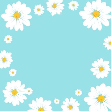 White chamomile flowers on a blue background with space for text