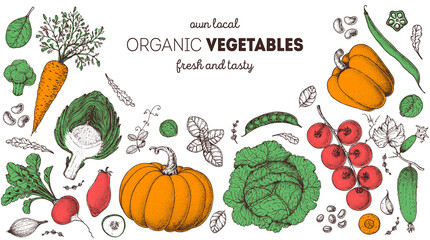 Vegetables hand drawn illustration. Top view frame. Vintage hand drawn. Organic food poster. Good nutrition, healthy food. Vector illustration. Carrot, artichoke, cabbage, pepper, tomato, pumpkin.