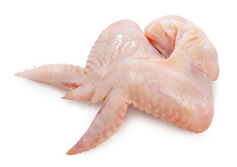 Fresh raw chicken wings isolated on white background, raw chicken wings on white background With clipping path.