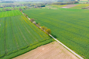 Równina pokryta łąkami i polami sfotografowana z drona.
Droga polna przebiegająca przez pola i łąki widziana z wysokości. Zdjęcie z drona. W oddali widać zabudowania pobliskiej wioski. - obrazy, fototapety, plakaty