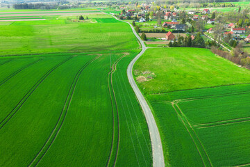 Droga polna przebiegająca przez pola i łąki widziana z wysokości. Zdjęcie z drona. W oddali widać zabudowania pobliskiej wioski. - obrazy, fototapety, plakaty