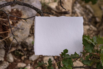 Mockup greeting cards, top view, flatlay on a stone background, place for your text. For presentation your art, wedding greeting cards.