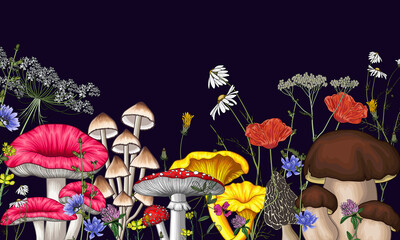 Vector illustration of a forest of mushrooms and wildflowers. Amanita, chanterelles, chamomile, white mushroom, clover, poppy, morels, mycena, dandelion, russula - obrazy, fototapety, plakaty