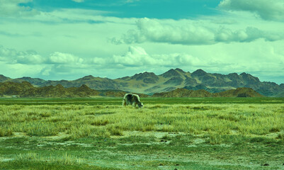  Dorbot pass from Ulan-Baishint. Mongolia.