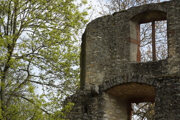Old wall of Burg Landskron ruin with windows and trees in spring, concept: fugacity, caducity (horizontal), Oppenheim, RLP, Germany