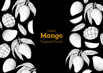 Mango fruit hand drawn package design. Vector illustration. Sketch for design, brochure illustration. Vintage retro design. Mango frame illustration. Can used for packaging design.