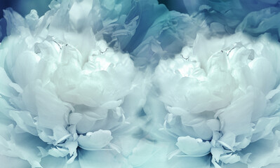 Fototapeta na wymiar Floral light blue background. Flowers and peony petals. Flower composition. Nature.