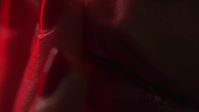 Close-up perfect natural lip makeup beautiful female mouth. Plump sexy full lips. Red lipstick. Perfect natural lip makeup. Close-up beautiful lips. Sexy plump lips red lipstick