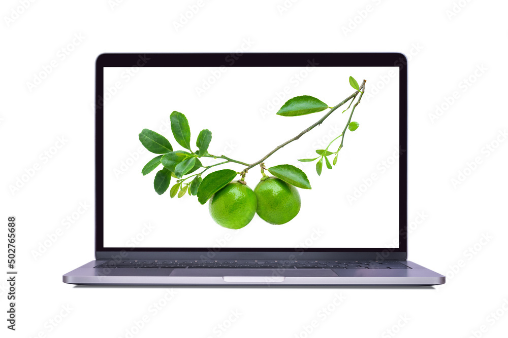 Wall mural Fresh green lime fruit on laptop computer screen isolated on white background. (My image)