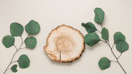 Wooden podium top view with eucalyptus leaves to display cosmetic and products, banner size beige...