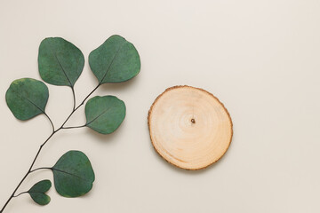 Top view wooden empty display with eucalyptus branch for product presentation, neutral beige color