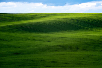 Beautiful green hills in spring
