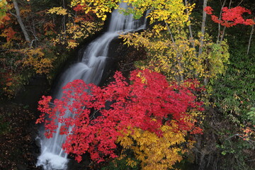 滝と紅葉