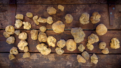 White truffles on a wooden surface