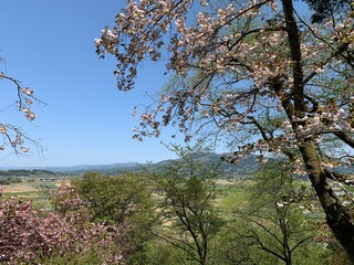 平泉の中尊寺参道からの景色