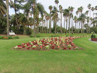 宮崎、青島神宮とボタニックガーデン青島